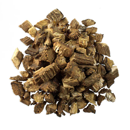 BURDOCK ROOT